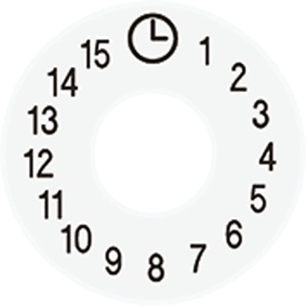 JUNG - Skalenscheibe, Symbole 1...15, alpinweiss