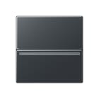 JUNG - Hotelcard-Schalter RFID, ohne Symbole, Serie A, anthrazit matt
