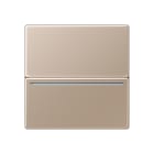 JUNG - Hotelcard-Schalter RFID, ohne Symbole, Serie A, champagner
