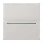 JUNG - Hotelcard-Schalter RFID, Serie LS, lichtgrau