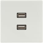 JUNG - Multimedia-Anschlusssystem 2 x USB 2.0, Serie LS, lichtgrau