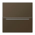 JUNG - Hotelcard-Schalter RFID, Serie LS, Messing antik