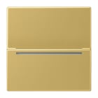 JUNG - Hotelcard-Schalter RFID, Serie LS, Messing classic