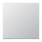 JUNG - Steuertaste Standard, neutral, Aluminium AlMg1 Naturton, mattgebeizt, Aluminium