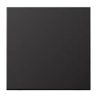 JUNG - Steuertaste Standard, neutral, Alu lackiert, dark