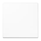 JUNG - Steuertaste Standard, Duroplast, Serie LS, alpinweiss