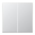 JUNG - Steuertaste 2fach Standard, Aluminium AlMg1 Naturton, mattgebeizt, Aluminium