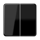 JUNG - Steuertaste 2fach Standard, Duroplast, Serie CD, schwarz