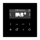JUNG - Smart Radio DAB+, Serie LS, schwarz