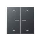 JUNG - Wippe mit Lichtleiter, mit Pfeilsymbolen für KNX Taster 2fach, anthrazit