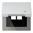 JUNG - Klappdeckel mit Rückstellfeder, mit Symbol LAN, Serie LS, Aluminium