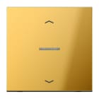 JUNG - Wippe mit Lichtleiter, Pfeilsymbole für KNX Taster 1fach, Metall gold