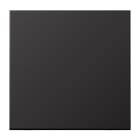 JUNG - Wippe für KNX Taster 1fach, Alu lackiert, Serie LS, dark (lackiertes Aluminium)