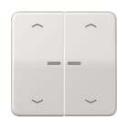 JUNG - Wippe mit Lichtleiter, Pfeilsymbole für KNX Taster 2fach, Duroplast, lichtgrau