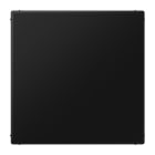 JUNG - Blind-Abdeckung (gerastet), Thermoplast lackiert, Serie LS, graphitschwarz matt