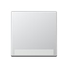 JUNG - Wippe 1fach, mit Schriftfeld, Thermoplast lackiert, Serie A, aluminium