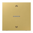 JUNG - eNet Funk-Steuertaste Standard Pfeile 1fach, Pfeilsymbole, Messing, classic