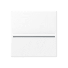 JUNG - Hotelcard-Schalter RFID, ohne Symbole, Serie A, schneeweiss matt