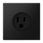 JUNG - Steckdose, US-Norm NEMA, 15 A 125 V ~, Schraubklemmen, o.Krallen,graphitschwarz