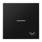 JUNG - Wippe 1fach mit Lichtleiter, Symbol Licht, Serie LS, graphitschwarz matt