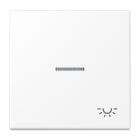 JUNG - Wippe 1fach mit Lichtleiter, Symbol Licht, Serie LS, schneeweiss matt