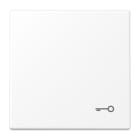 JUNG - Wippe, Symbol Tür, Serie LS, schneeweiss matt
