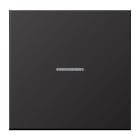 JUNG - KNX RF Taster 1fach, neutral, Alu lackiert, dark