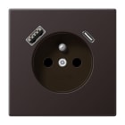 JUNG - Steckdose, franz./belgisches System 16 A 250 V ~, USB 1 x Typ A + 1 x Typ C,SAFETY+