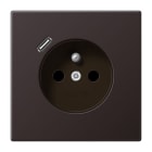 JUNG - Steckdose, franz./belgisches System 16 A 250 V ~, USB 1 x Typ C,SAFETY+, dark