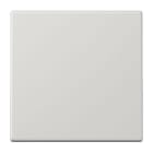 JUNG - Bluetooth® Low Energy Funk-Wandsender 2-kanalig, Serie LS, lichtgrau