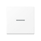 JUNG - JUNG HOME Taster 1fach, Thermoplast lackiert, Serie A, schneeweiß matt