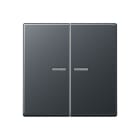 JUNG - JUNG HOME Taster 2fach, Thermoplast lackiert, Serie A, anthrazit matt