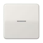 JUNG - JUNG HOME Taster 1fach, Duroplast, Serie CD, lichtgrau