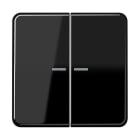 JUNG - JUNG HOME Taster 2fach, Duroplast, Serie CD, schwarz