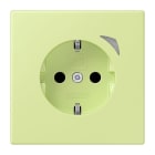 JUNG - JUNG HOME SCHUKO Steckdose, 16 A 250 V ~, Schraubkl.,Funktionsanzeige,SAFETY+