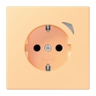 JUNG - JUNG HOME SCHUKO Steckdose, 16 A 250 V ~, Schraubkl.,Funktionsanzeige,SAFETY+