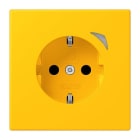 JUNG - JUNG HOME SCHUKO Steckdose, 16 A 250 V ~,  Schraubkl.,Funktionsanzeige,SAFETY+