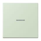 JUNG - JUNG HOME Taster 1fach, Serie LS, vert anglâis pale