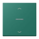 JUNG - JUNG HOME Taster 1fach, mit Pfeilsymbolen, Serie LS, vert anglais