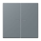 JUNG - JUNG HOME Taster 2fach, Serie LS, gris 59
