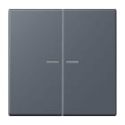 JUNG - JUNG HOME Taster 2fach, Serie LS, gris fonce 59