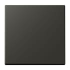 JUNG - EnOcean Funk-Wandsender 2-kanalig, Serie LS, ombre naturelle 59