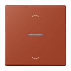 JUNG - Wippe mit Lichtleiter, mit Pfeilsymbolen für Taster 1fach, l'ocre rouge