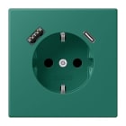 JUNG - SCHUKO Steckdose 16 A 250 V ~, USB 1 x Typ A + 1 x Typ CSAFETY+, vert anglais