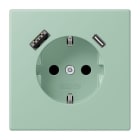 JUNG - SCHUKO Steckdose 16 A 250 V ~, USB 1 x Typ A + 1 x Typ CSAFETY+, vert anglais clair