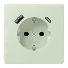 JUNG - SCHUKO Steckdose 16 A 250 V ~, USB 1 x Typ A + 1 x Typ CSAFETY+, vert anglâis pale
