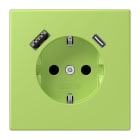 JUNG - SCHUKO Steckdose 16 A 250 V ~, USB 1 x Typ A + 1 x Typ CSAFETY+, vert clair