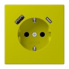 JUNG - SCHUKO Steckdose 16 A 250 V ~, USB 1 x Typ A + 1 x Typ CSAFETY+, vert olive vif