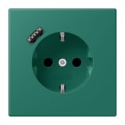 JUNG - SCHUKO Steckdose 16 A 250 V ~, mit USB 1 x Typ ASAFETY+, Serie LS, vert anglais