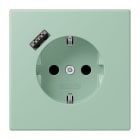 JUNG - SCHUKO Steckdose 16 A 250 V ~, USB 1 x Typ ASAFETY+, vert anglais clair